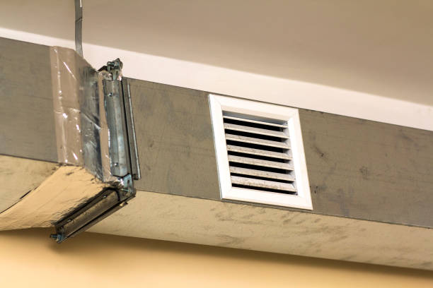 Best Air Duct Mold Removal  in Ellitt, CO